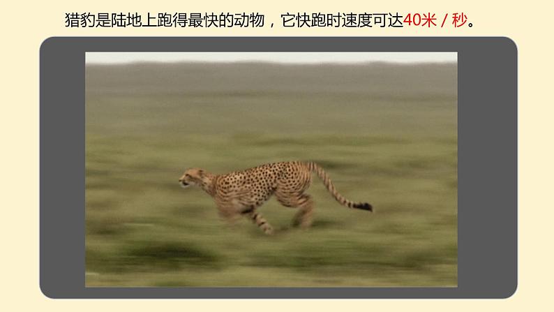 PEP六英下（课标版）U4 第5课时 B Read and write PPT课件03