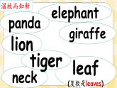 教科版（广州）英语六年级下册 Module 2 Unit  4 We can save the animals 课件