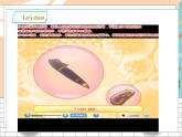 滬教牛津版英語2年級(jí)下冊(cè) Unit 2 Touch and feel Let’s play 課件+教案+習(xí)題+素材