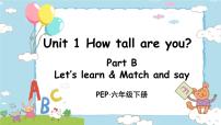 人教版 (PEP)六年级下册Unit 1 How tall are you? Part B教课内容课件ppt