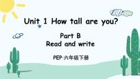 英语六年级下册Unit 1 How tall are you? Part B集体备课ppt课件