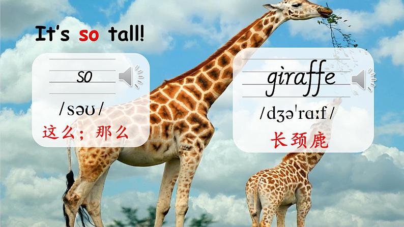 三年级英语下册（人教PEP版）Unit 3 At the zoo Part A 第一课时 课件+教案+素材05