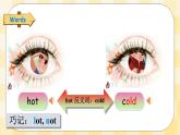 【期末复习】Unit 3 Weather （优质）复习课件+教案+动画素材