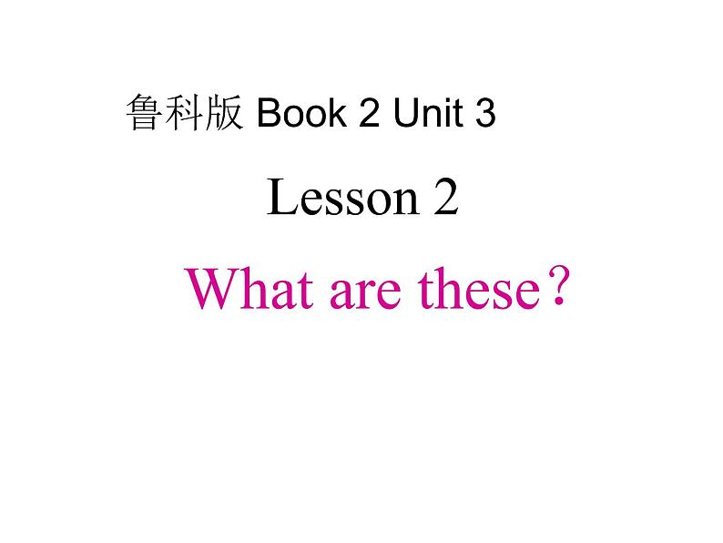 课件-Unit 3 Animals Lesson 2 What are these教案第1页