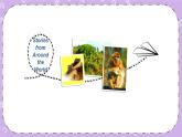 Let's Read More Golden Monkeys of Sichuan课件+素材