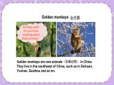 Let's Read More Golden Monkeys of Sichuan课件+素材