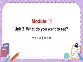 Module 1 Unit 2 What do you want to eat？第1课时课件+教案+素材