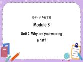 Module 8 Unit2 Why are you wearing a hat第1课时 课件+教案+素材