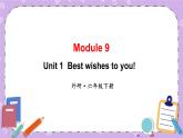 Module 9 Unit1 Best wishes to you !第1课时 课件+教案+素材