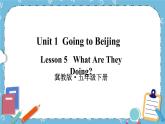 Lesson5  What Are They Doing课件+教案+素材