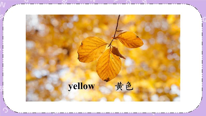 Module   1 Unit 2  My favourite colour is yellow第1课时 课件+教案+素材05