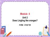 Module 4 Unit 2  Does Lingling like oranges第1课时 课件+教案+素材