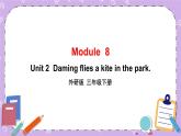 Module 8 Unit 2  Daming flies a kite in the park第1课时 课件+教案+素材