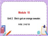 Module 10 Unit 2   She’s got an orange sweater第1课时 课件+教案+素材
