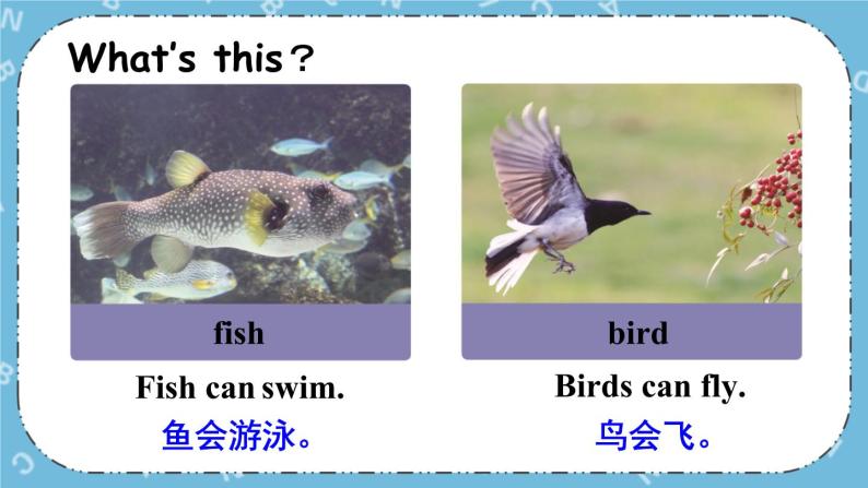 Lesson 3 Fish and Birds课件+教案+素材05