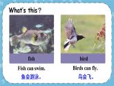Lesson 3 Fish and Birds课件+教案+素材