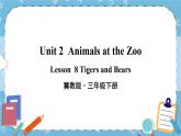 Lesson 8 Tigers and Bears课件+教案+素材