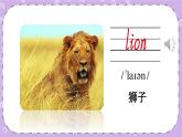 Module 2 Unit 4 Animals in the zoo 课件＋（3课时）教案＋素材