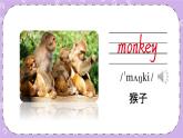 Module 2 Unit 4 Animals in the zoo 课件＋（3课时）教案＋素材