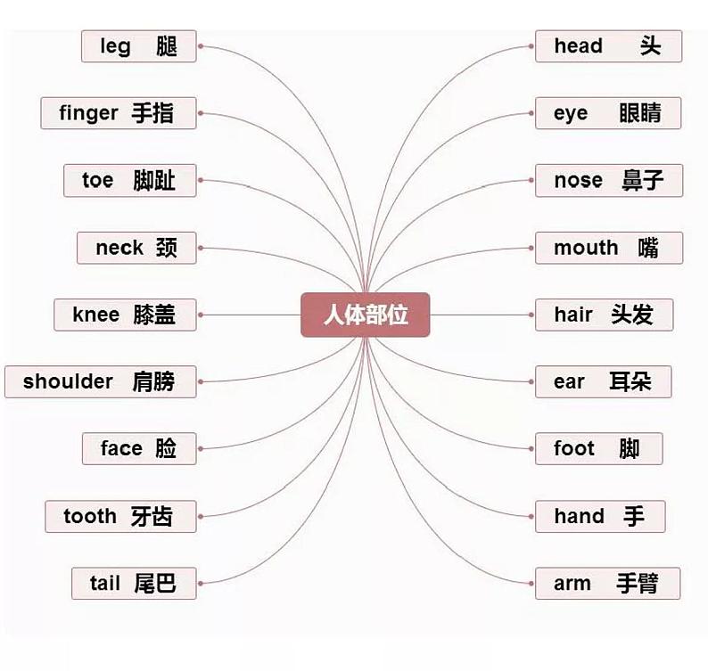 小学英语 思维导图-知识点归纳1-单词篇第1页