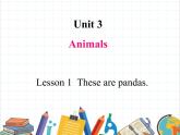 鲁科版小学英语三年级下册 Unit3 Lesson 1 These are pandas课件＋教案（含课文朗读）