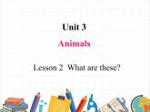 鲁科版小学英语三年级下册 Unit3 Lesson 2 What are these课件＋教案（含课文朗读）