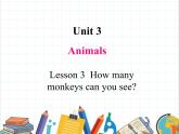 鲁科版小学英语三年级下册 Unit3 Lesson 3 How many monkeys can you see课件＋教案（含课文朗读）