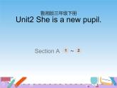 湘鲁版英语三下 Unit2第1课时课件+教案