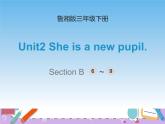 湘鲁版英语三下 Unit2第3课时课件+教案