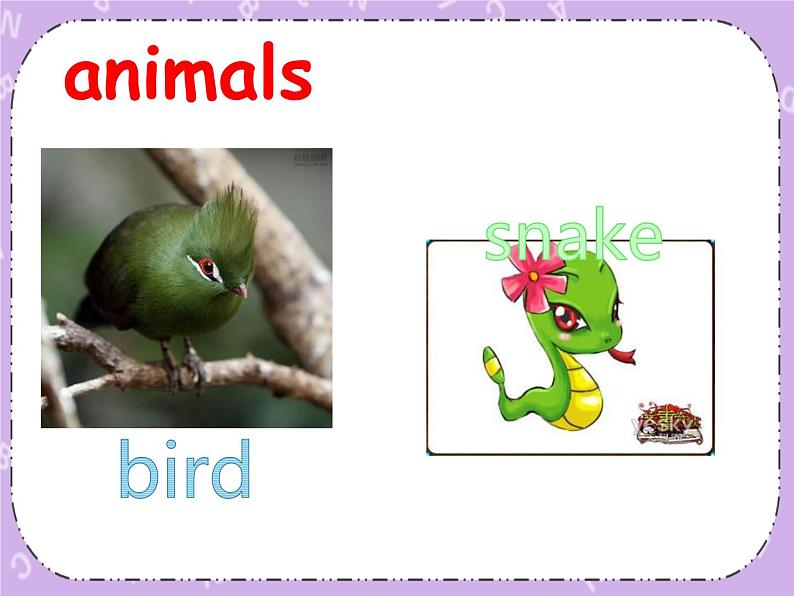 湘鲁版英语三下 Unit9第1课时课件+教案02