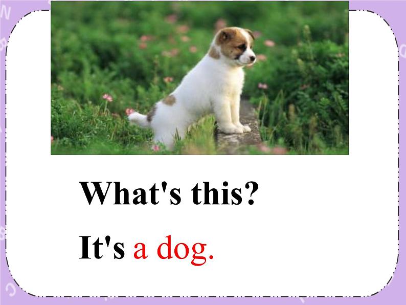 湘鲁版英语三下 Unit9第2课时课件+教案03