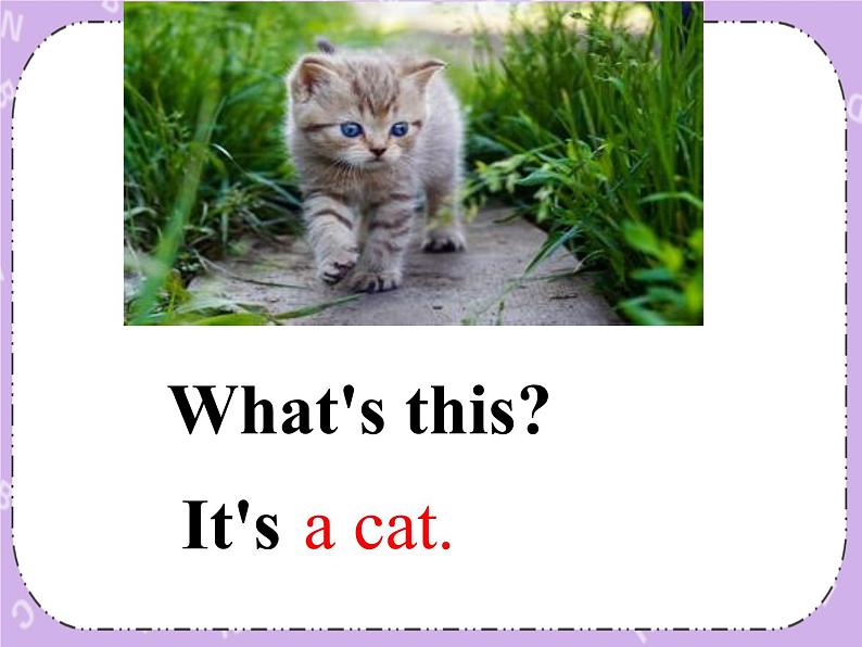 湘鲁版英语三下 Unit9第2课时课件+教案04