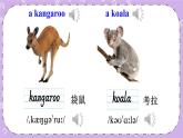 Unit 6 An interesting country Story time 課件+教案+素材