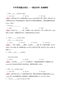 100例：全面解析小学英语一般过去时时态结构