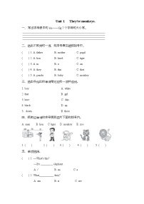 外研版 (三年级起点)三年级下册Unit 1 They are monkeys.精练