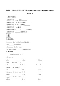 外研版 (三年级起点)三年级下册Unit 2  Does Lingling like oranges?课时作业