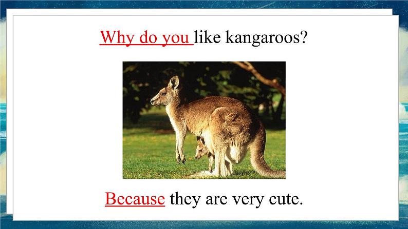 外研版（一起）英语四年级下册课件 《Module 9Unit 2 Kangaroos live in Australia.》04