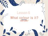 Lesson 6 What colour is it课件PPT