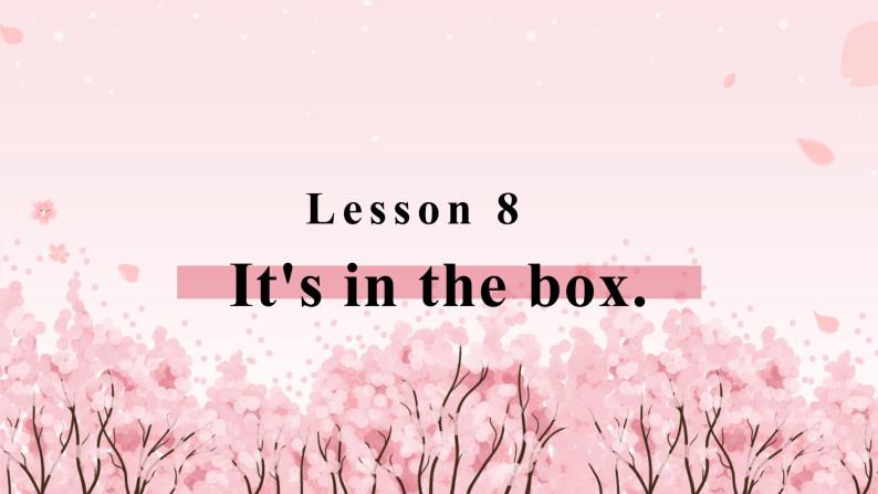 Lesson 8 It's in the box.课件PPT02