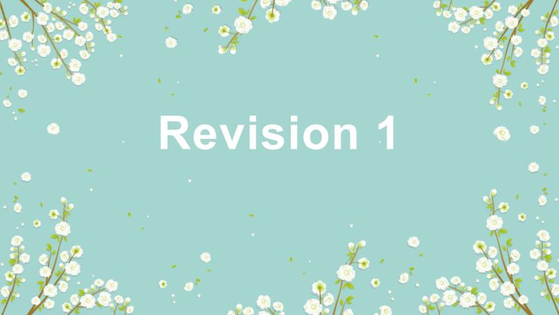 Revision 1课件PPT01