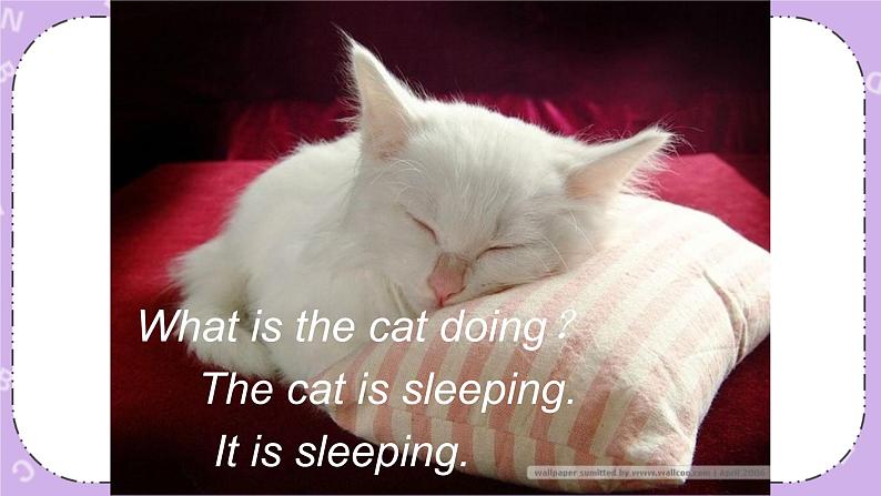 unit 9 we're taking photos课件+素材08