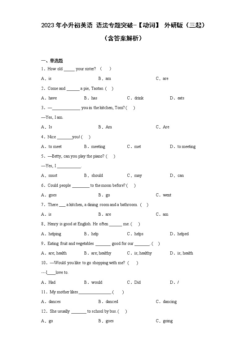 2023年小升初英语+语法专题突破-动词+外研版（三起）第1页