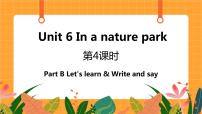 人教版 (PEP)Unit 6 In a nature park Part B优秀课件ppt