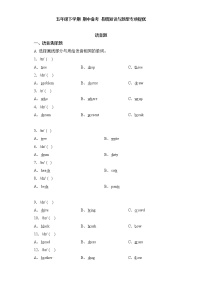 2023学年期中备考+易错知识与题型专项提优+语音题-五年级英语下学期+Unit1-4+(译林三起)