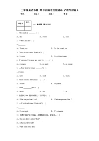 三年级英语下册+期中高频考点检测卷+沪教牛津版（深圳）A