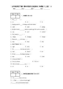 五年级英语下册+期中高频考点检测卷+外研版（三起）+A