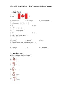 2022-2023学年小学英语三年级下学期期中素养检测+教科版（广州）