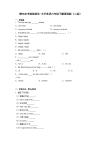 期中必考题检测卷-小学英语六年级下册译林版（三起）