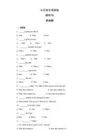 小升初英语专项训练31感叹句