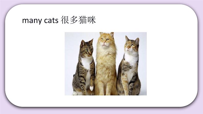 Unit 1 Glad to see you again Lesson1 课件 北京版英语一下第8页